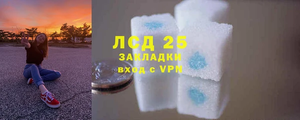 амф Дмитриев