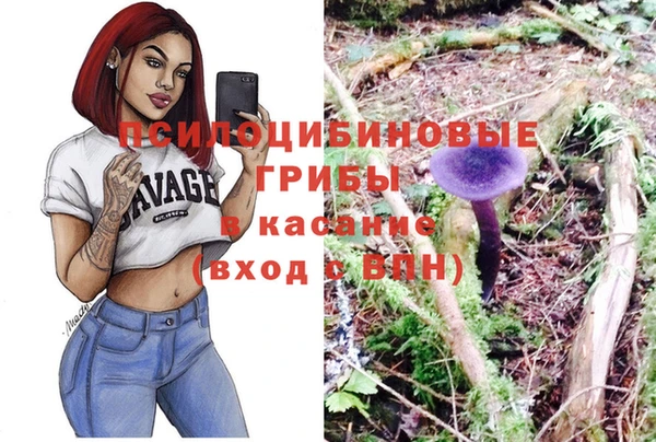 прущий лед Алзамай