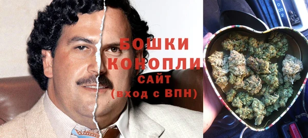прущий лед Алзамай