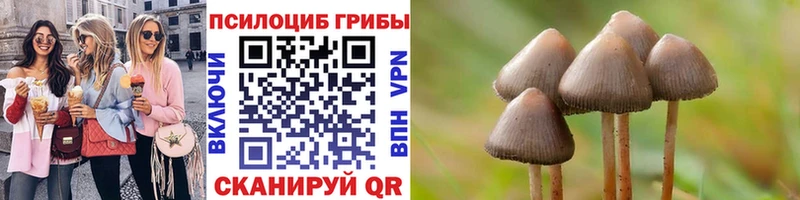 Псилоцибиновые грибы прущие грибы  наркотики  Зеленоградск 